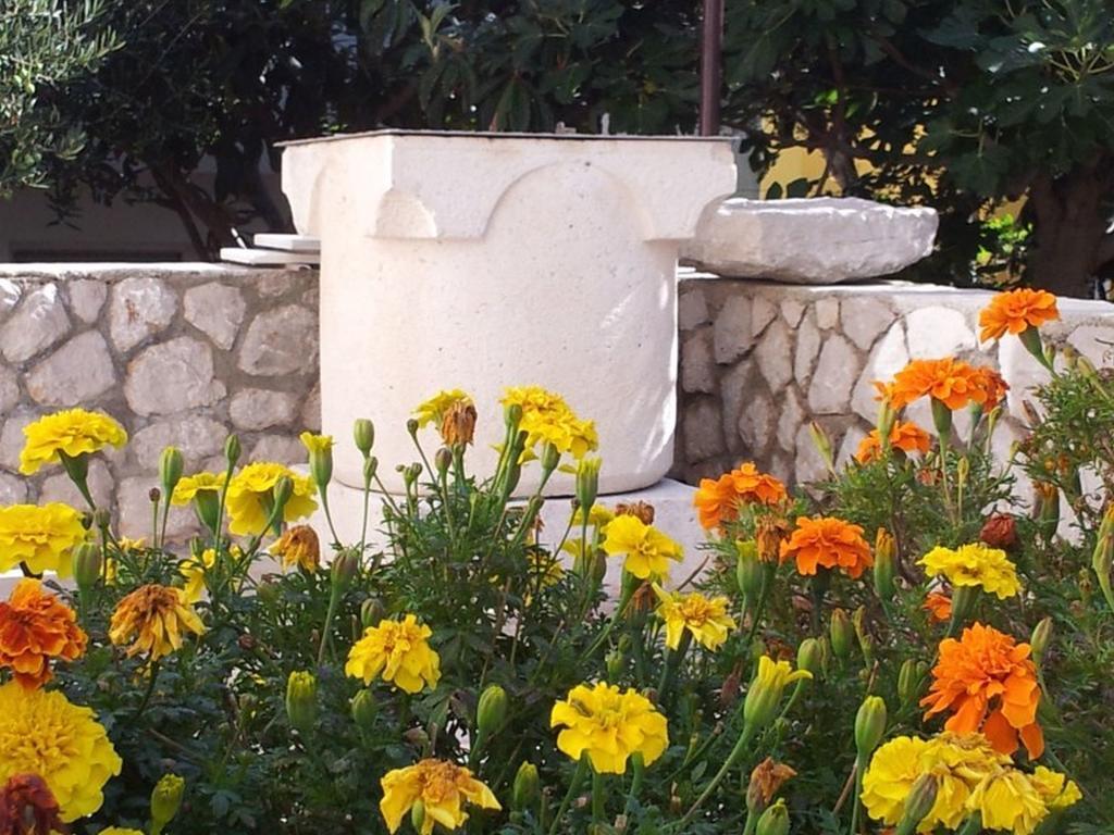 Apartments Franjo Mali Lošinj Exterior foto